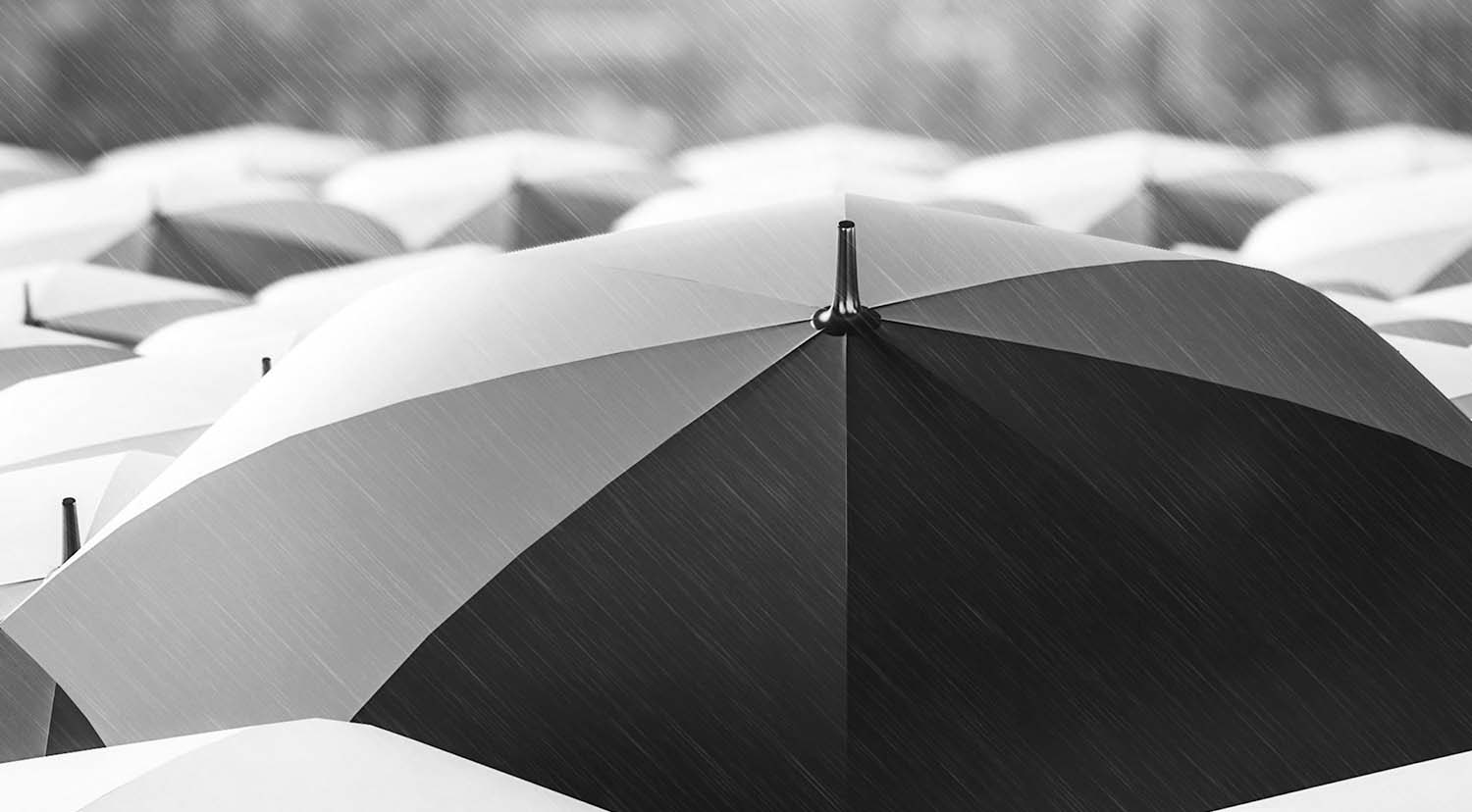 Umbrellas